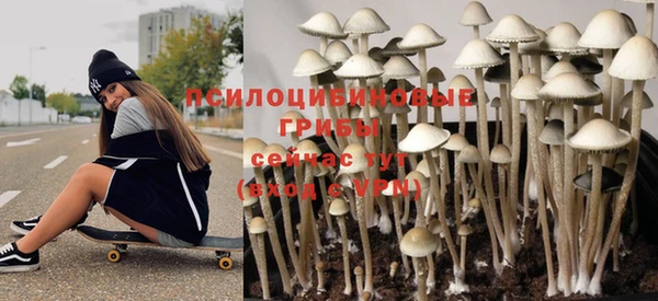 гидра Нея